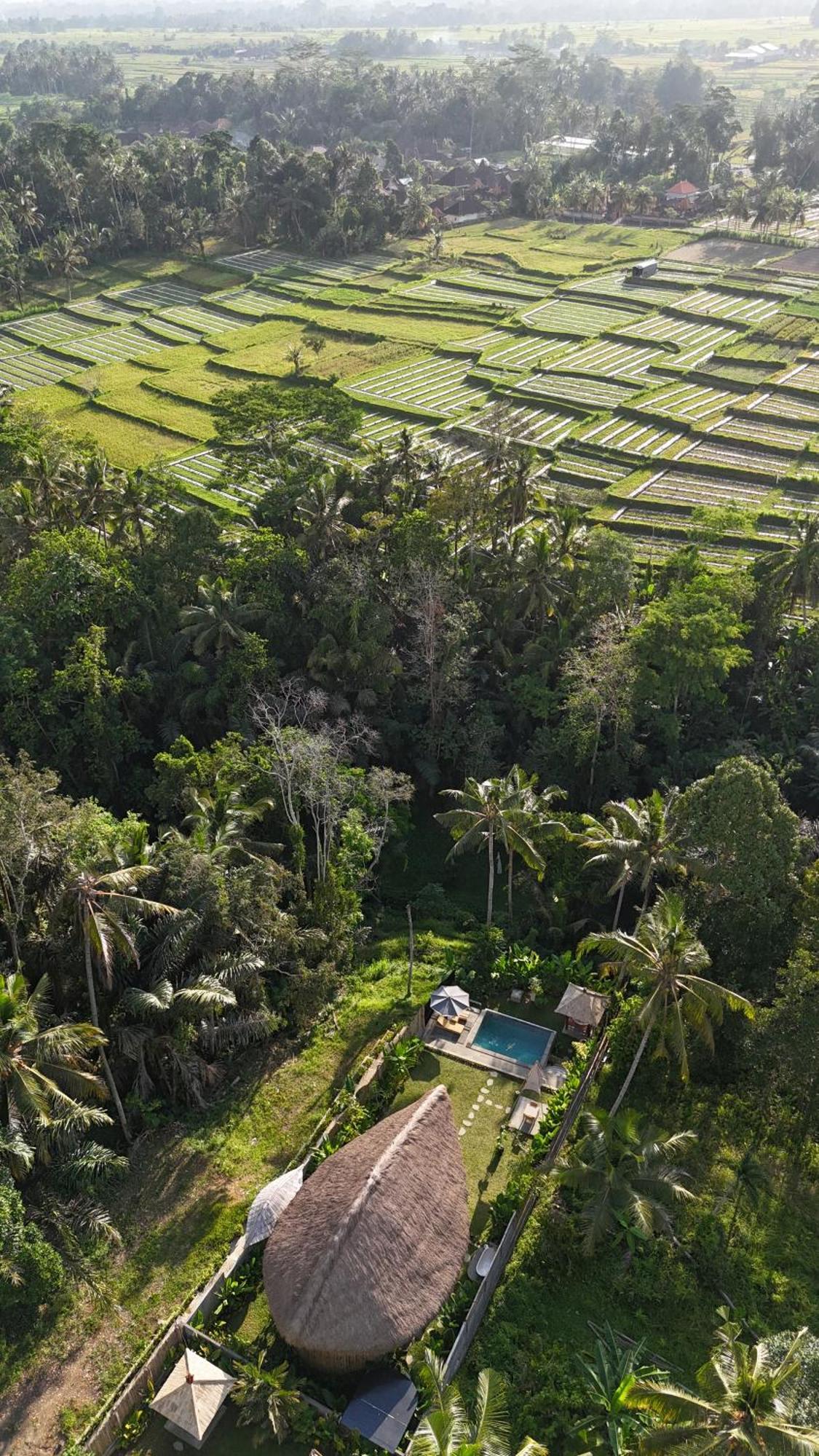 Pitu, A Punggul Village Escape Sangeh Exterior foto
